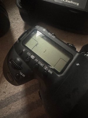 canon_5d_mark_iv_1743845986_489a53e4_progressive.jpg