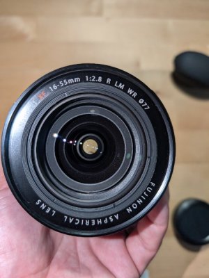 1000077261.jpg