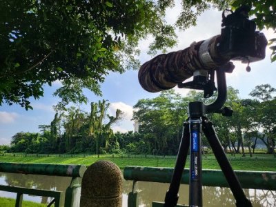 sony_600mm_f4_gm_oss_mint_1748323979_a6bcb9ac_progressive.jpg