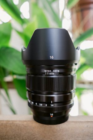 lens sale6-2.jpg