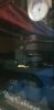 20180412_054348.jpg