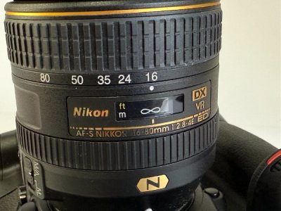 D5004.jpg