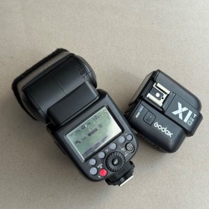 IMG_1937 Medium.jpeg