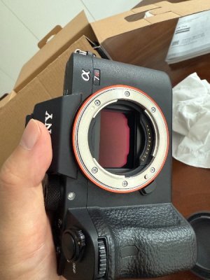 IMG_1387.jpeg