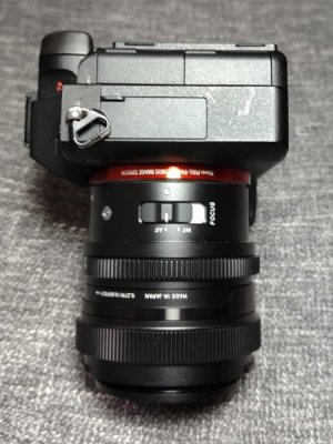 Sony_a7r3_06.jpg