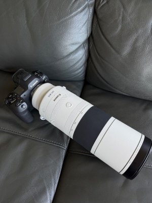 IMG_2803.jpeg