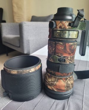 Sigma 150 - 600mm-1.jpeg