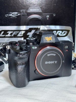 sony_alpha_a7rv_a7r5_with_peak_1755947598_4cea1d44_progressive.jpg