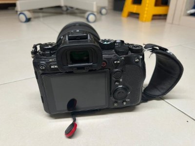 Sony A1 01.jpg