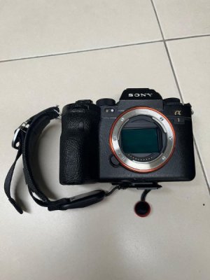 Sony A1 04.jpg