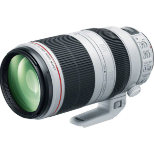 Image 1.png