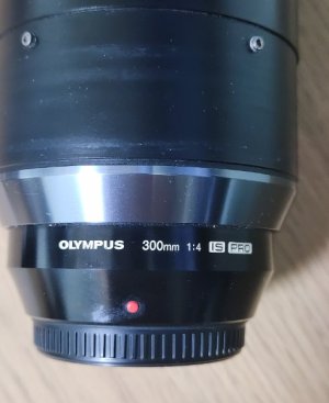 300mm-1.jpg