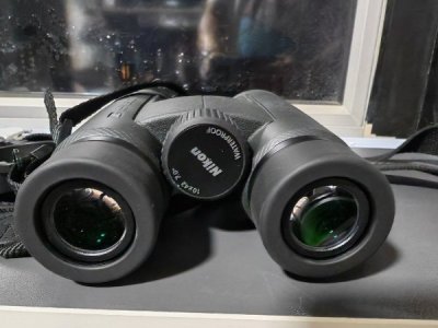 nikon_prostaff_p7_10x42_binocu_1763205412_1d23a18c_progressive.jpg