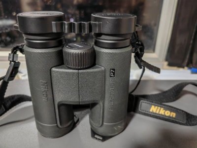 nikon_prostaff_p7_10x42_binocu_1763205412_cefc884a_progressive.jpg