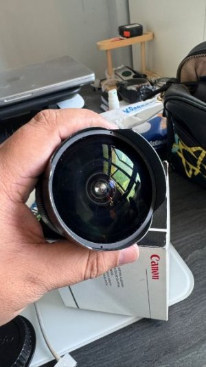 WhatsApp Image 2026-01-23 at 17.12.33.jpeg