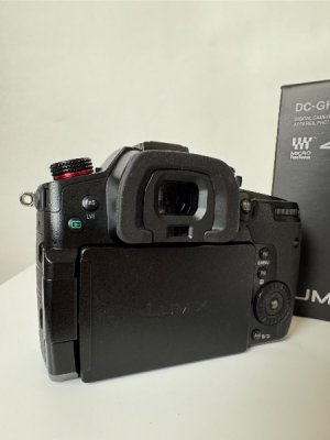 IMG_7419.jpeg