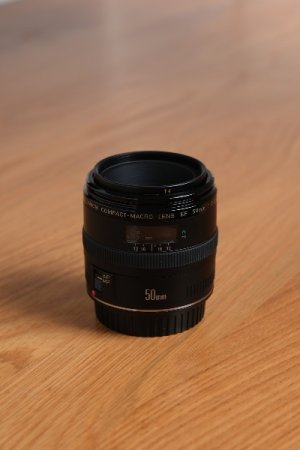 Z0110 028 moving on sale_full HD.jpg