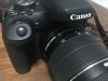S__41598978.jpg