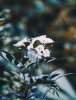 1780C7D3-FAC4-4A39-BA5D-3ABE3921E6E0.jpeg