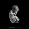 $newbornnatural.jpg