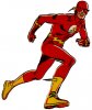 $flash.jpg