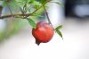 $03-DSCF0831.jpg