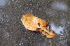 $07-DSCF0836.jpg