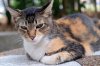 $1-DSCF0956.jpg