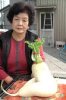 $daikon.jpg