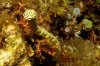 $IMG_5869.jpg