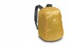 t720x460_BumbleBee_DL_210_0003_p5.jpg-1306060654.jpg