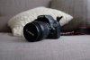 canon_500d_1541249338_add70d9a.jpg