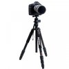 tripod_03.jpg