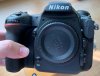 Nik D500_2.JPG