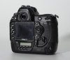 D4S_9134.JPG