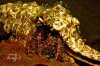 $IMG_5837a.jpg