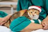 $141227_CatTherapy_043.jpg
