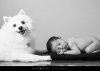 $280114_Newborn_Photography_003.jpg
