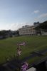 $bokeh at f7.1.jpg