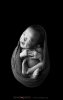 $280114_Newborn_Photography_001.jpg
