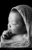 $280114_Newborn_Photography_002.jpg