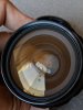 00100dPORTRAIT_00100_BURST20190310095948263_COVER.jpg