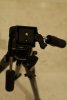 DSC_4661 2.jpg