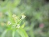 7654A3F9-57E6-4ED1-9F90-DD73B21758CB.jpeg