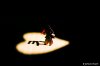 $IMGP7588-5-res.jpg