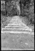 $Bukit timah stair_2.jpg