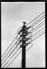$power cable.jpg
