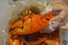 $foc_crab2.jpg