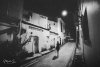 Night After Sidewalk 3_wm.jpg