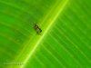 smugmug (1 of 1)-100.jpg